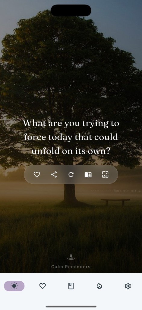 Calm prompt card with a misty tree background